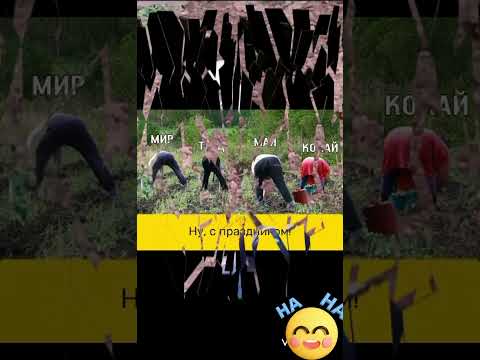 #смешновидео #прикол #смехпродлеваетжизнь