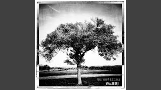 Blackthorn