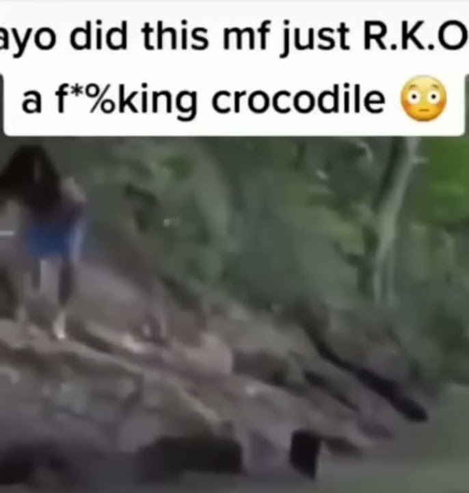 Crocodile gets defeated - YouTube