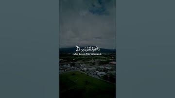 ﴿ولو ترى إذ وقفوا على النار فقالوا يا ليتنا نرد ولا نكذب بآيات ربنا ونكون من المؤمنين﴾ ياسر ممدوح