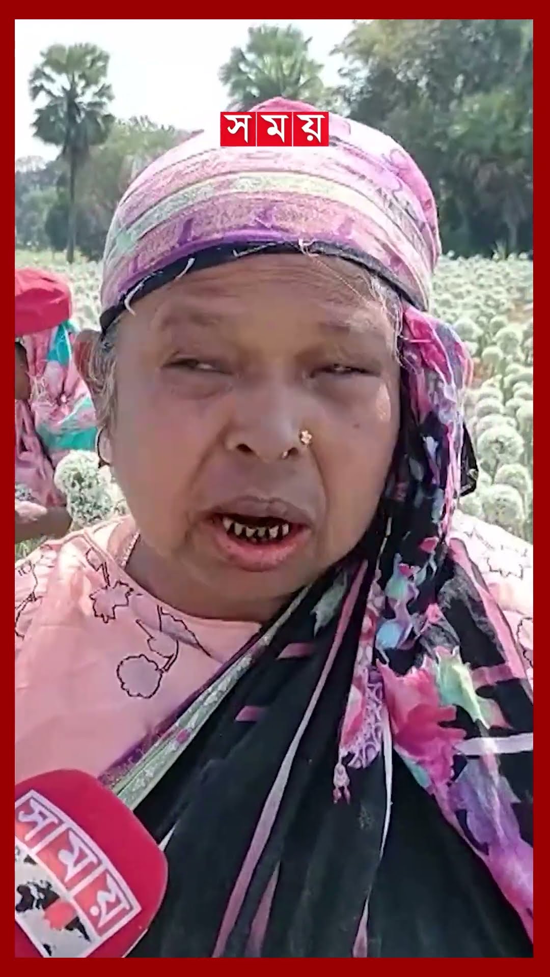 ফরিদপুরে পেঁয়াজ বীজের বাম্পার ফলন #onionseeds #farmer #faridpur #shorts #somoytv