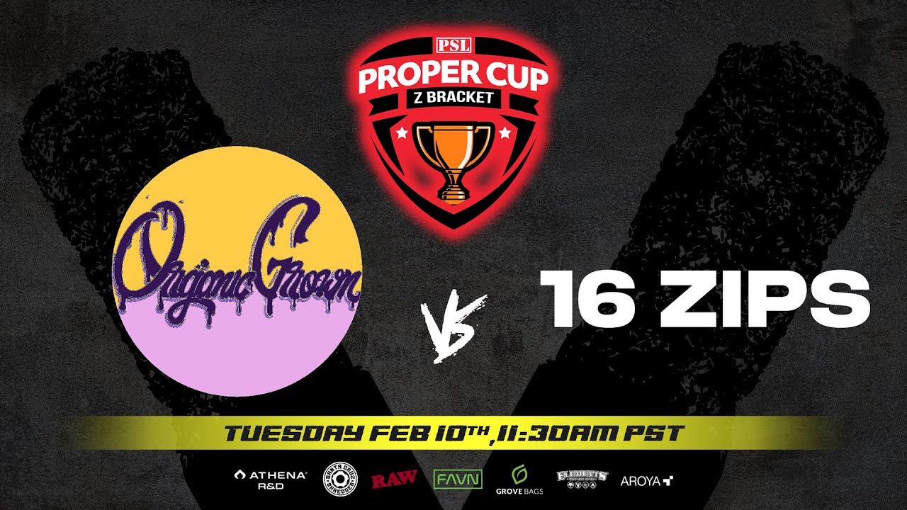 Proper Cup - Z Bracket (WC #5): Organic Grown vs 16 Zips