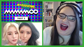 Can I marry this entire group? | INTRODUCING MAMAMOO! (Part 2: Wheein & Hwasa) Guide Reaction