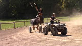 Jerry Ranch Gelding kills the GIT UP Dance challenge cowboy style!