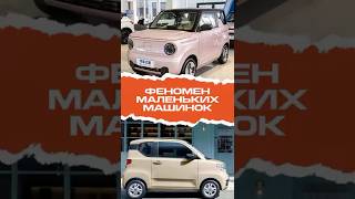 Полмиллиона за "игрушку"?! Эти китайские машины — новый культ