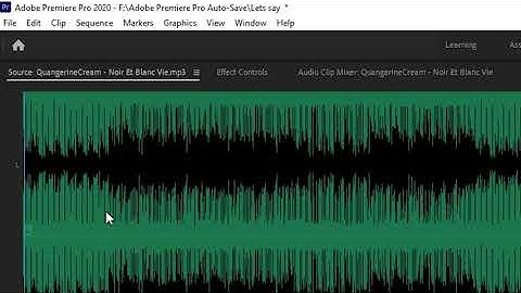 Adobe Premiere Pro- Fixing Audio and Recording problems