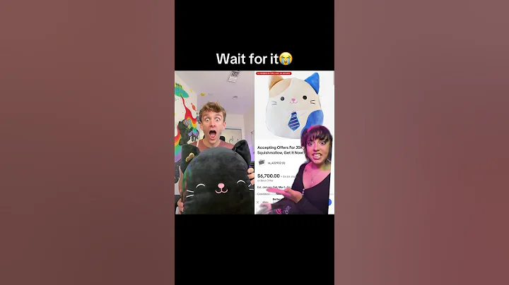 The MOST RARE squishmallow🤨 w Carter Kench #shorts