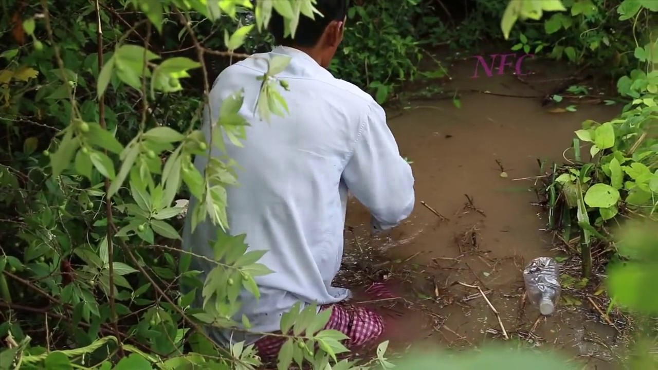 Net Fishing in The River Cambodia || Fishing in Asia