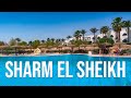 EGITTO Finalmente a SHARM EL SHEIKH - Egitto in 7 giorni - [Ep 1/6] | special thanks Human Safari