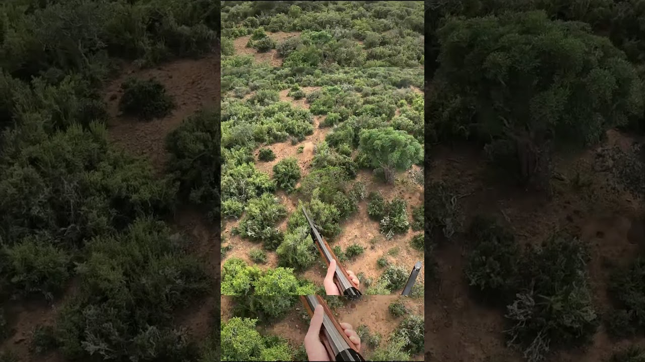 He did not Have a CHANGE. Helicopter Coyote hunt! 