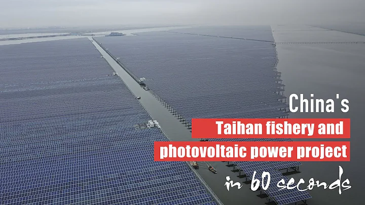 China's Taihan fishery and photovoltaic power project in 60 seconds - DayDayNews