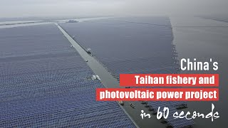 China's Taihan fishery and photovoltaic power project in 60 seconds