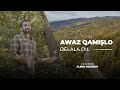 Awaz Qamişlo Delala Dil Official Video آواز قامشلو دلالا دل 