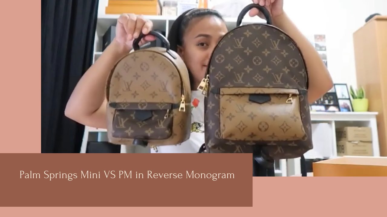 Louis Vuitton Palm Springs PM and Mini Palm Springs in Monogram Reverse  REVIEW!!! 