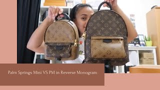 Louis Vuitton Palm Springs PM and Mini Palm Springs in Monogram Reverse  REVIEW!!! 