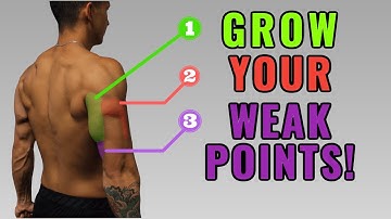 The Best Science-Based Triceps Exercises for Each Head (Work Your Weak Points!)