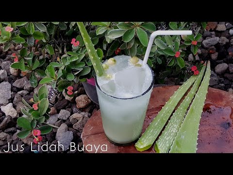 Video: Cara Membuat Jus Aloe Vera Di Rumah