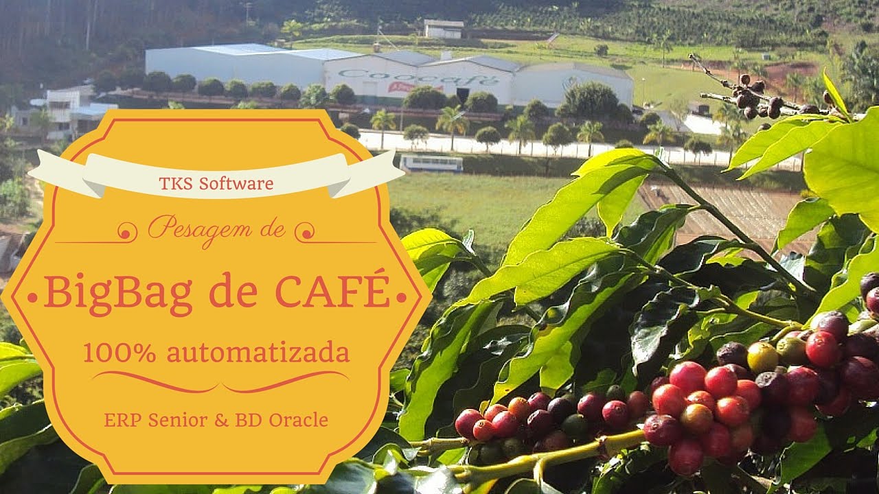 Pesagem automatizada de BigBag de Café