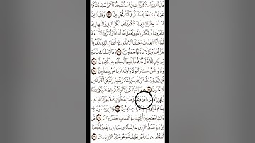 تلاوه عطره (الآية 36 إلى الآية 39) من سورة سبأ  [الأرزاق]