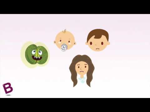 Video: Vaccinazione contro l'infezione da meningococco per bambini e adulti