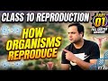 Reproduction #class10 # part 01/05.