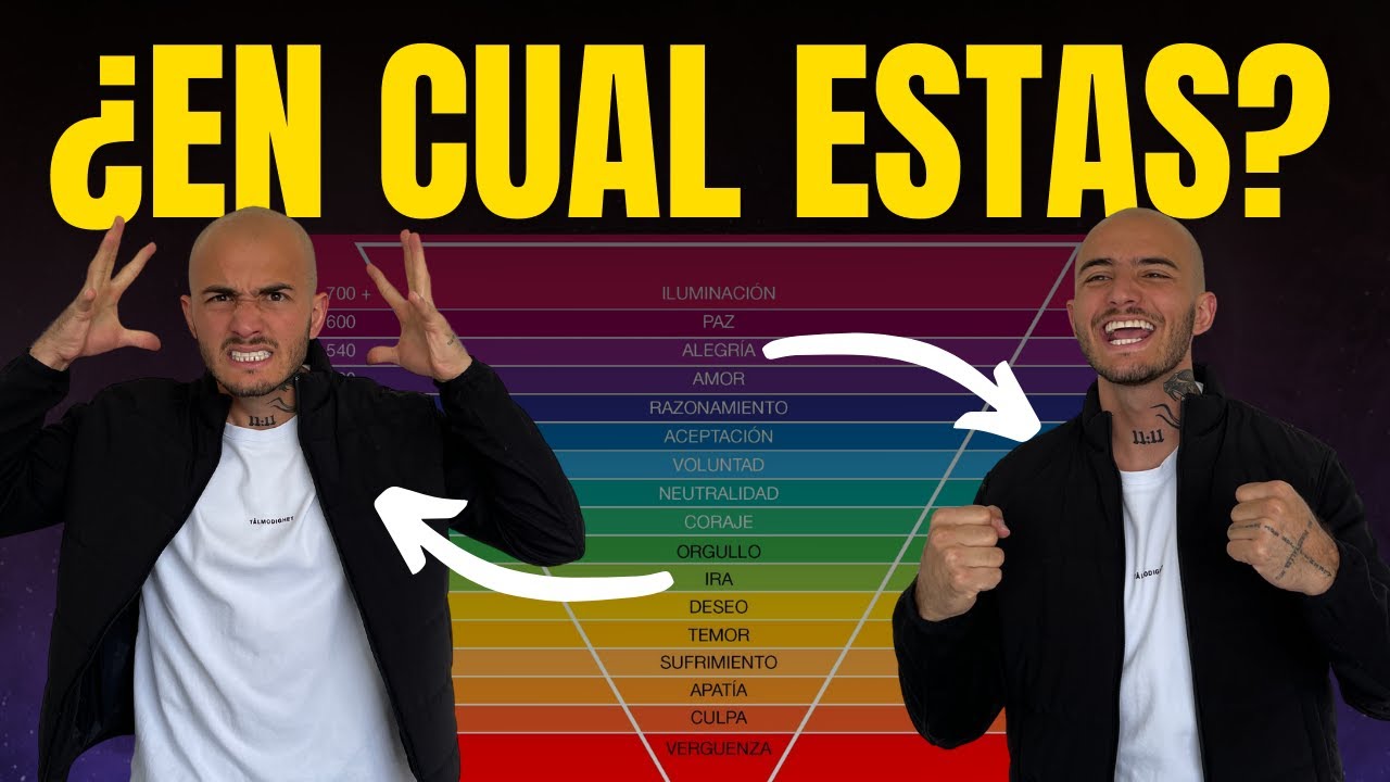 Los 4 NIVELES DE CONSCIENCIA ( Descubre en cual estas? ) - YouTube