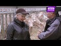 Témoignage client : cage à bovin avec réducteur - Michèle Thiriet et Laurent Colin