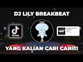 DJ EVERYTHING YOU WANT IN GOLD | DJ LILY BREAKBEAT YANG KALIAN CARI CARI !!!
