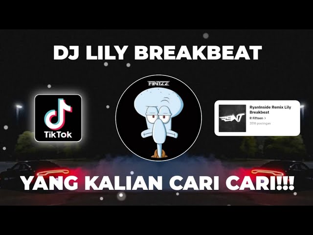 DJ EVERYTHING YOU WANT IN GOLD | DJ LILY BREAKBEAT YANG KALIAN CARI CARI !!! class=