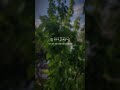 رب اغفر لي ولوالدي وللمؤمنين والمؤمنات الاحياء منهم والاموات اكسبلور لايك الرحمن رب اغفر لي ولوالدي وللمؤمنين والمؤمنات الاحياء منهم والاموات اكسبلور لايك الرحمن
