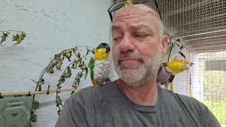 Happy Saturday afternoon everybirdy!!!