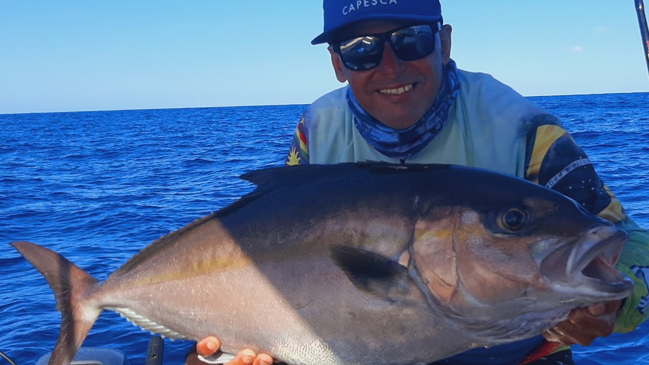 ARABAIANA CHATA DE 10KG - YouTube