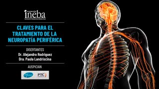 Claves para el tratamiento de la neuropatía periférica