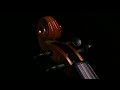 Скрипка з чохлом та аксесуарами Donner Music Eastar EVA-330 4/4 Solid Wood Violin Set With Two Bow EB 0217