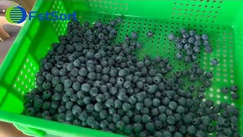 Blueberry grading equipment,blueberry sorter machine,blueberry grading ,blueberry grader price