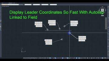 Display Coordinates Leader(Linked Field) So Fast With AutoLisp-Free Download Lisp