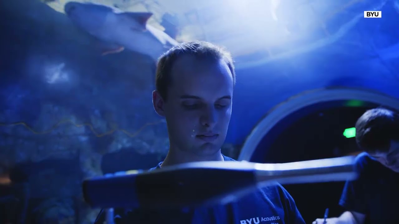 BYU SHARK STUDY VO