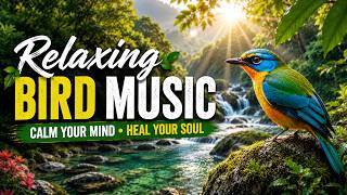 Peaceful Morning Birds & Soft Piano 🍃 for Meditation, Study & Focus screenshot 2