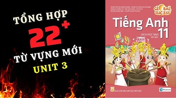 Tổng hợp 22+ từ vựng Unit 3 - Global Success 11 | Chuột bạch 2k7