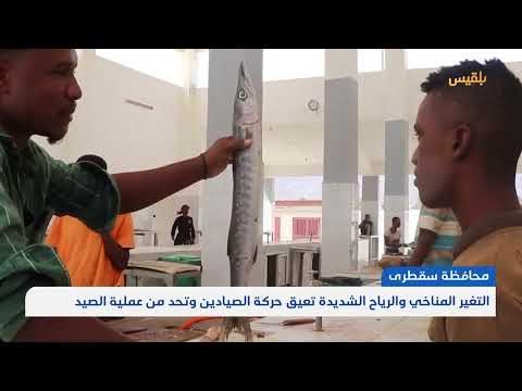 سقطرى... التغير المناخي والرياح الشديدة تعيق حركة الصيادين وتحد من عملية الصيد | تقرير: أحمد القيسي