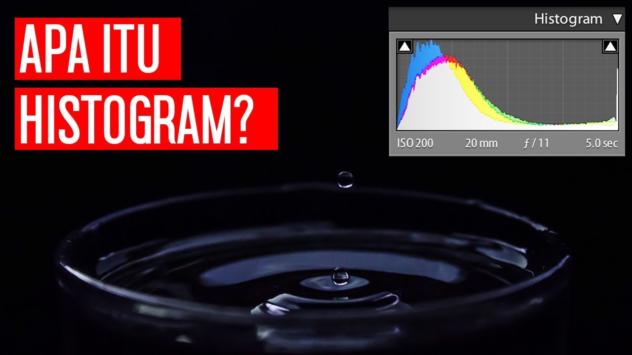 MEMAHAMI HISTOGRAM PADA FOTO | Capture Guide #6