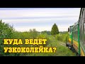 КУДА ВЕДЁТ УЗКОКОЛЕЙКА?! АУЖД! Выходные в Муратково!