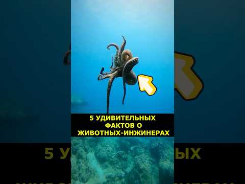 5 УДИВИТЕЛЬНЫХ ФАКТОВ О ЖИВОТНЫХ-ИНЖЕНЕРАХ! #Животные #Наука #Эволюция #Факты #wowfacts #Природа
