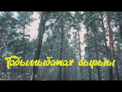 Video: Сантоку бычактары жакшыбы?