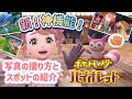 【ポケモンSV】写真の撮り方と待てのやり方〜キタカミの里写真スポット紹介【ロトりぼう/碧の仮面/ポケットモンスター・スカーレット・バイオレット】