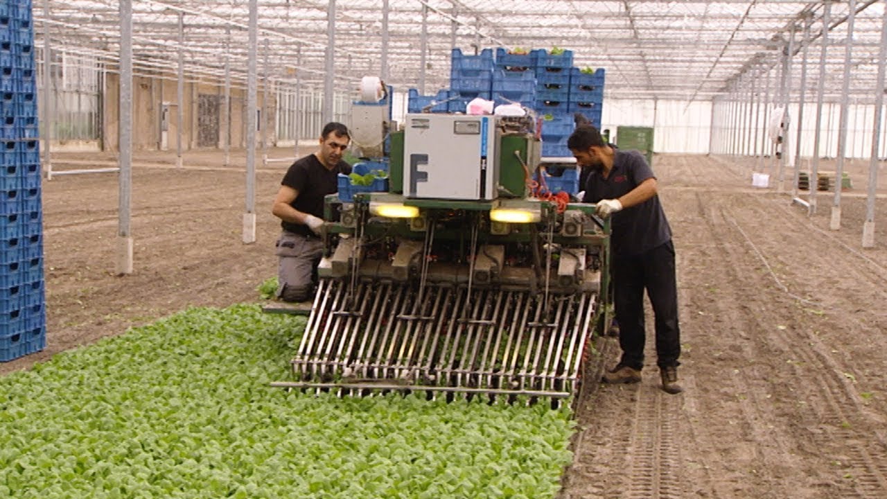 RTL Kidsjen - Yilmaz Radijs