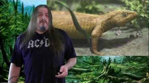 Systematic Classification of Life - ep14 Amniota