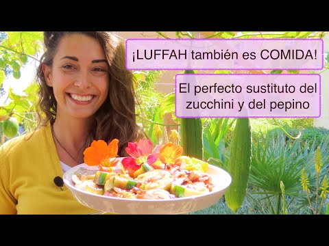 Video: La Luffa Es Un Vegetal Y Un Sanador