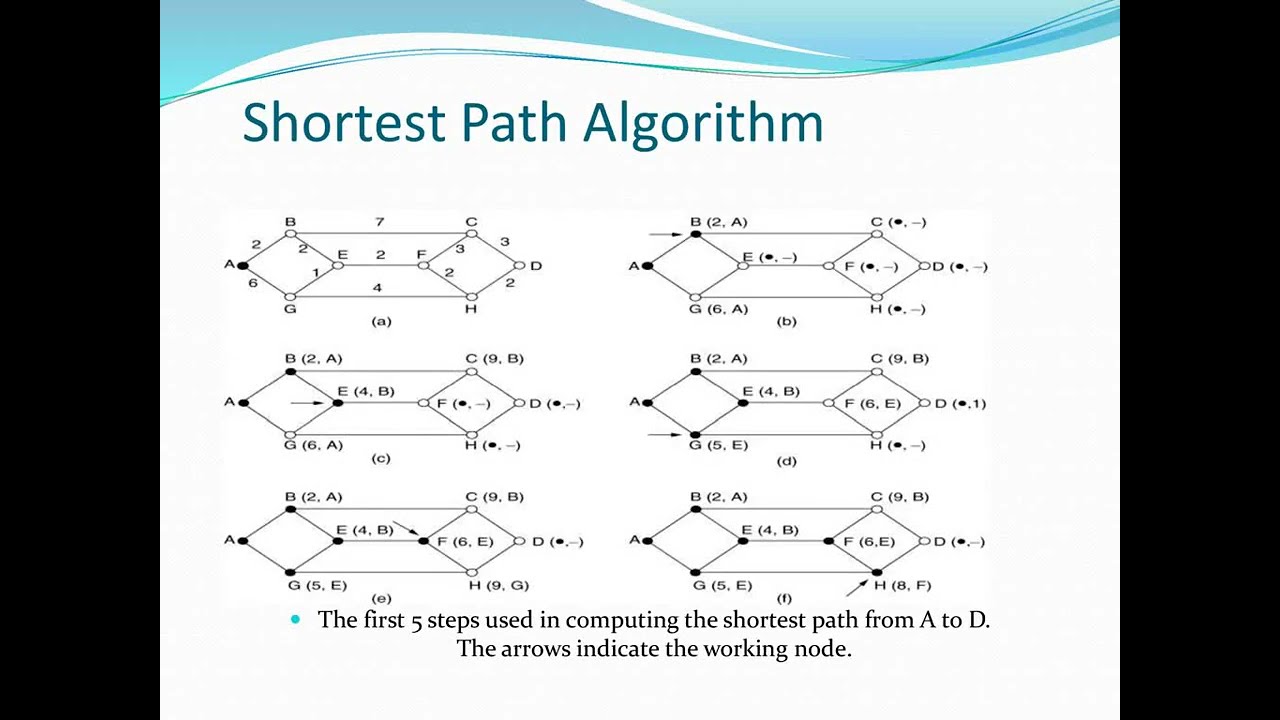 Network Layer Routing protocols