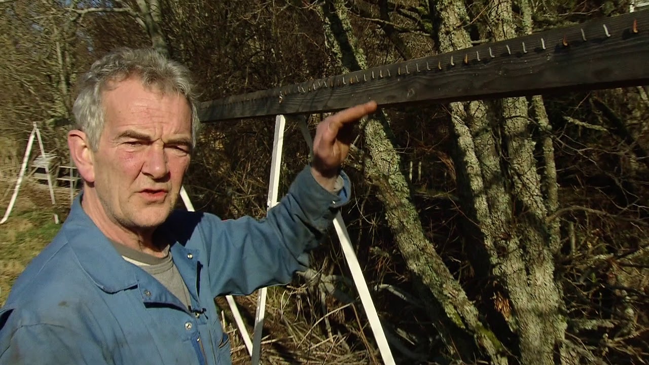 Production - Finishing Woven Cloth